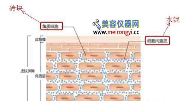 绾崇背琛ユ按浠紝鎴戝幓骞翠拱浜嗕釜琛紒