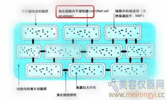 绾崇背琛ユ按浠紝鎴戝幓骞翠拱浜嗕釜琛紒