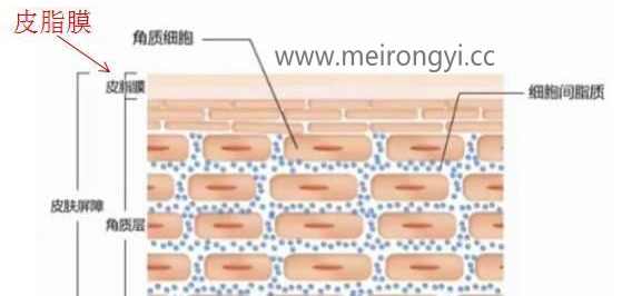 绾崇背琛ユ按浠紝鎴戝幓骞翠拱浜嗕釜琛紒