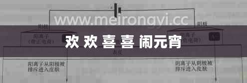 欢 欢 喜 喜 闹元宵