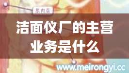 洁面仪厂的主营业务是什么