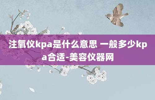 注氧仪kpa是什么意思 一般多少kpa合适-美容仪器网