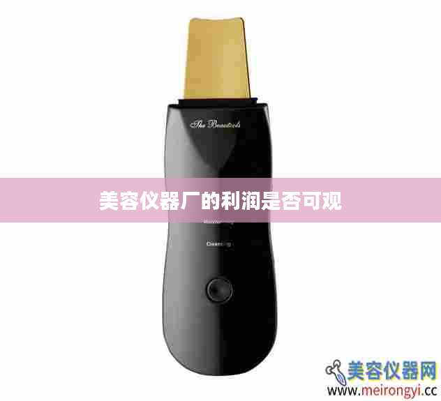 美容仪器厂的利润是否可观
