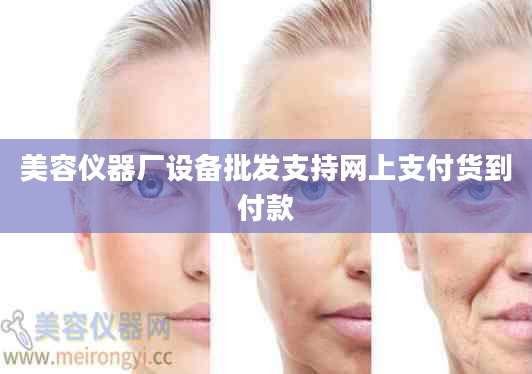 美容仪器厂设备批发支持网上支付货到付款