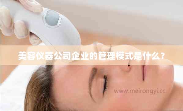 美容仪器公司企业的管理模式是什么？