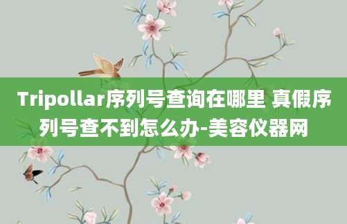 Tripollar序列号查询在哪里 真假序列号查不到怎么办-美容仪器网