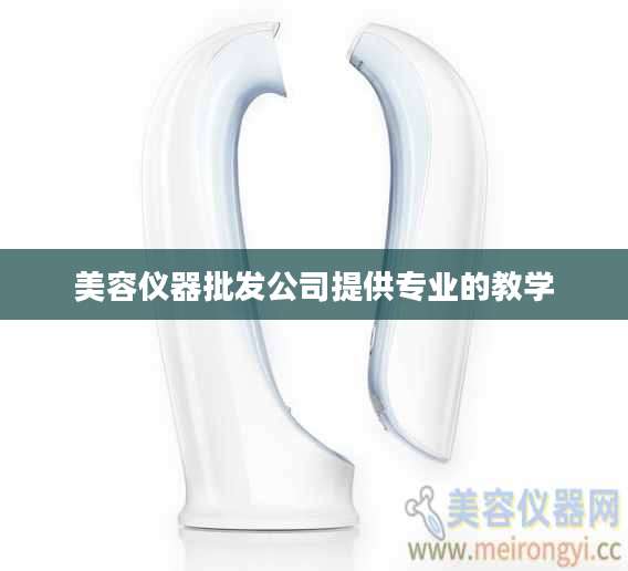 美容仪器批发公司提供专业的教学