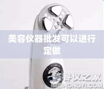 美容仪器批发可以进行定做