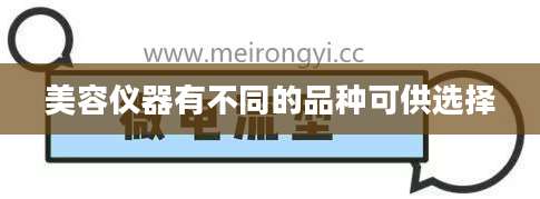 美容仪器有不同的品种可供选择