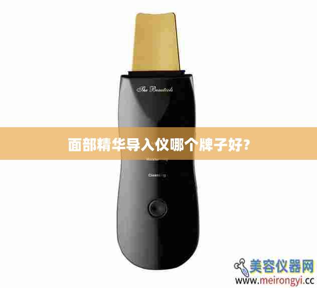 面部精华导入仪哪个牌子好？