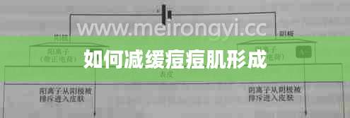 如何减缓痘痘肌形成