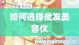 如何选择批发美容仪