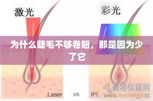 为什么睫毛不够卷翘，那是因为少了它
