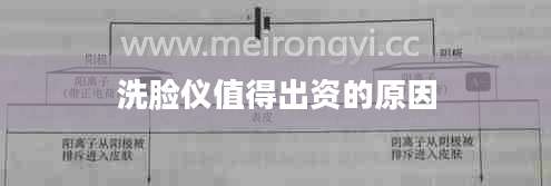 洗脸仪值得出资的原因