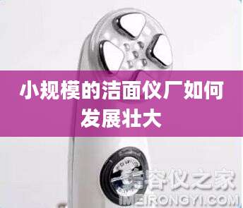 小规模的洁面仪厂如何发展壮大