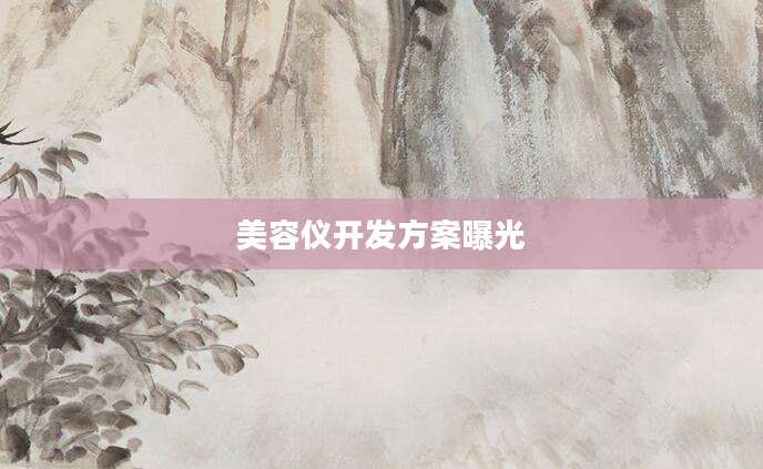 美容仪开发方案曝光