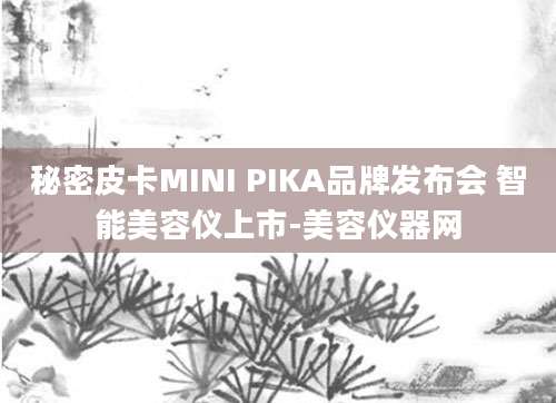 秘密皮卡MINI PIKA品牌发布会 智能美容仪上市-美容仪器网