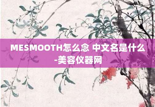 MESMOOTH怎么念 中文名是什么-美容仪器网