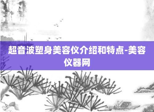 超音波塑身美容仪介绍和特点-美容仪器网