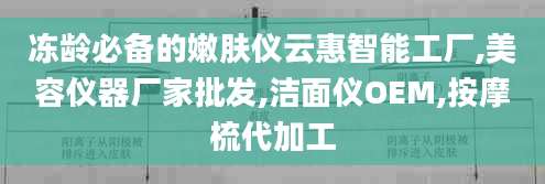 冻龄必备的嫩肤仪云惠智能工厂,美容仪器厂家批发,洁面仪OEM,按摩梳代加工