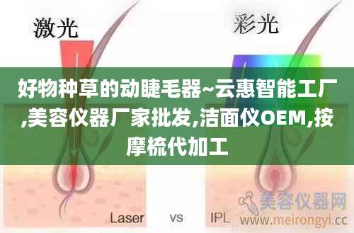 好物种草的动睫毛器~云惠智能工厂,美容仪器厂家批发,洁面仪OEM,按摩梳代加工
