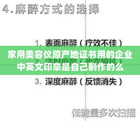 家用美容仪原产地证书用的企业中英文印章是自己制作的么